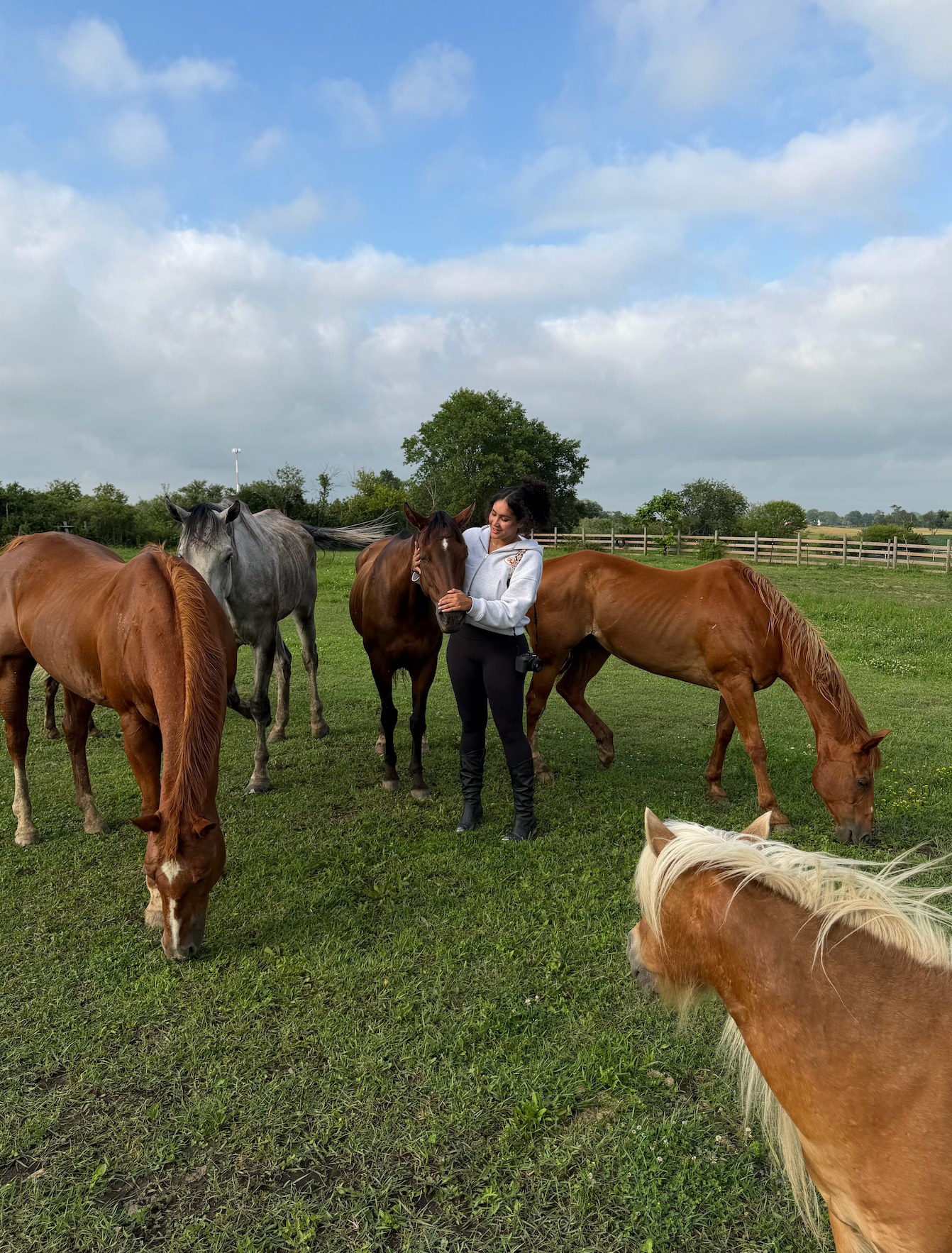 Women riding horses together on a trail