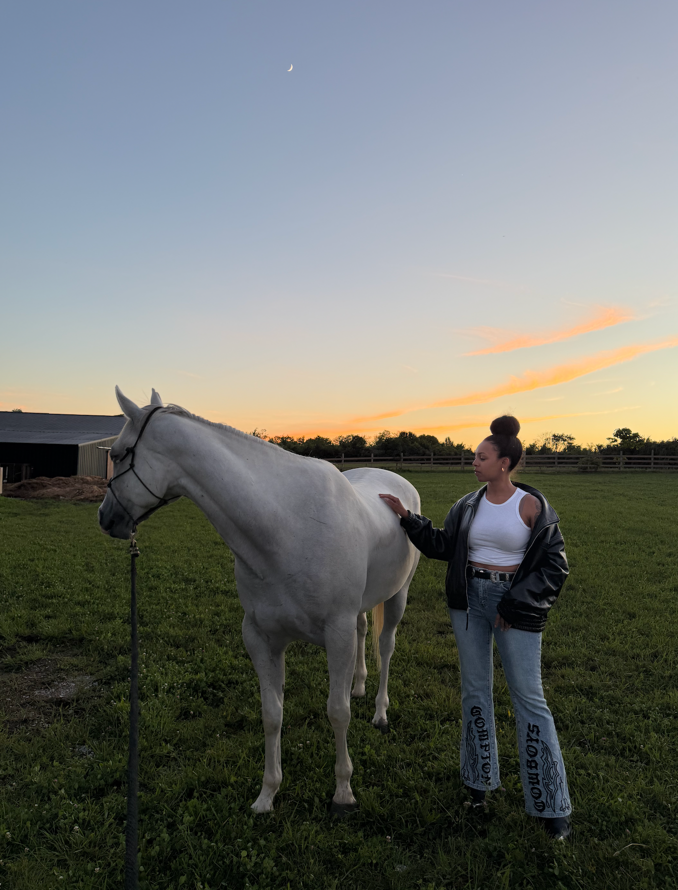 Horse and rider on a golden-hour trail